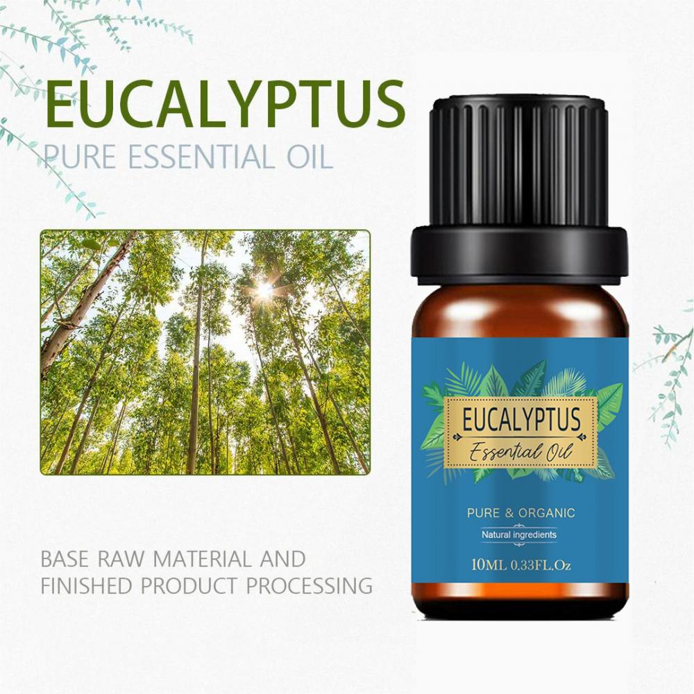 Olio essenziale per eucalipto naturale puro all&#39;ingrosso per cura della pelle olio eucalipto organico