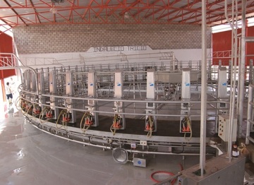 KLN herringbone cow equipment goat milking parlor