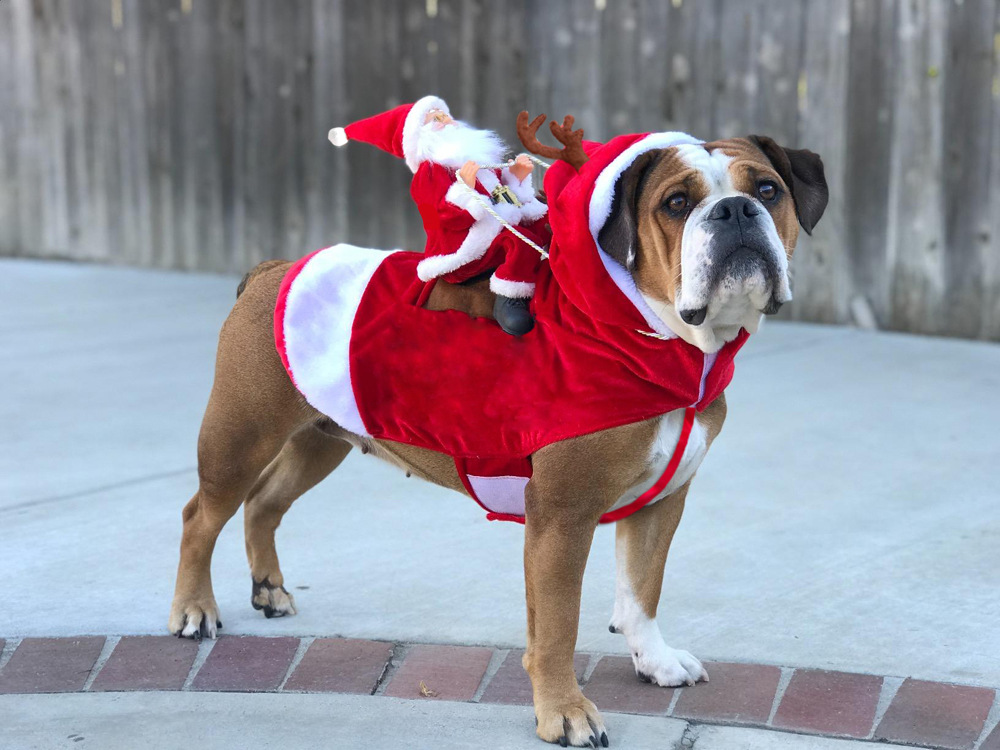 Pet Dog Christmas Clothing Santa Claus Riding Christmas Pet Clothes Riding Deer Pet Christmas Supplies