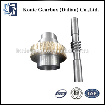 China wholesale high speed rotating worm gear for twin screw extruder