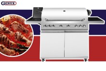 outdoor and indoor gas grills