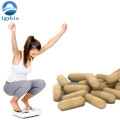 Weight Loss 50% HCA Garcinia Cambogia Extract Powder