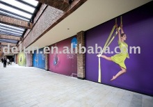 Wrapping Vinyl/Car vinyl/vehicle/vinyl