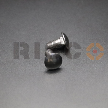 18-8 Stainless Steel Carriage bolts
