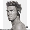 Mosaico de retrato de pared de arte de la serie Beckham