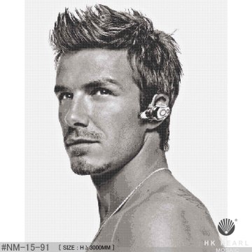 Beckham Series Art Wall Portrait Mosaic