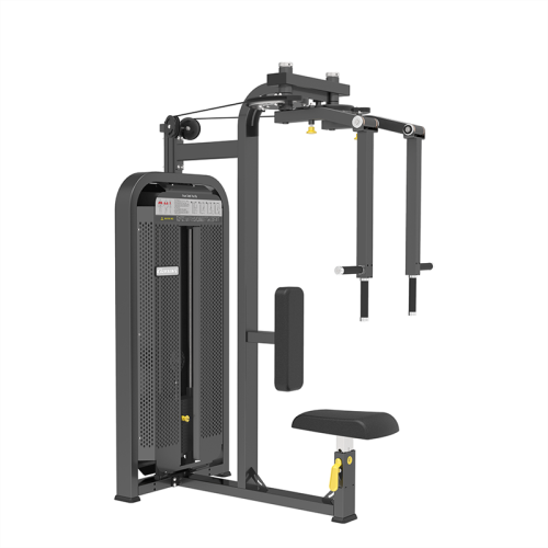 Fitness Strength Trainer Equipment Rear Delt Fly