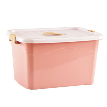 high precision plastic Injection Storage Box mould