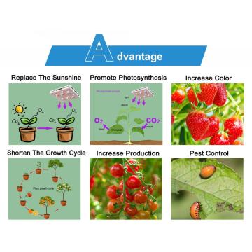 3000w Led planting Light for Commercial