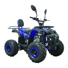 2024 China Trade EPA 4x4 Diesel 49cc & 125cc Engine Racing Quad Bikes for Adults