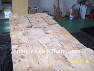 Mappa Burl wood veneer