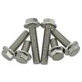 DIN6923 Hexagon Flange Bolts