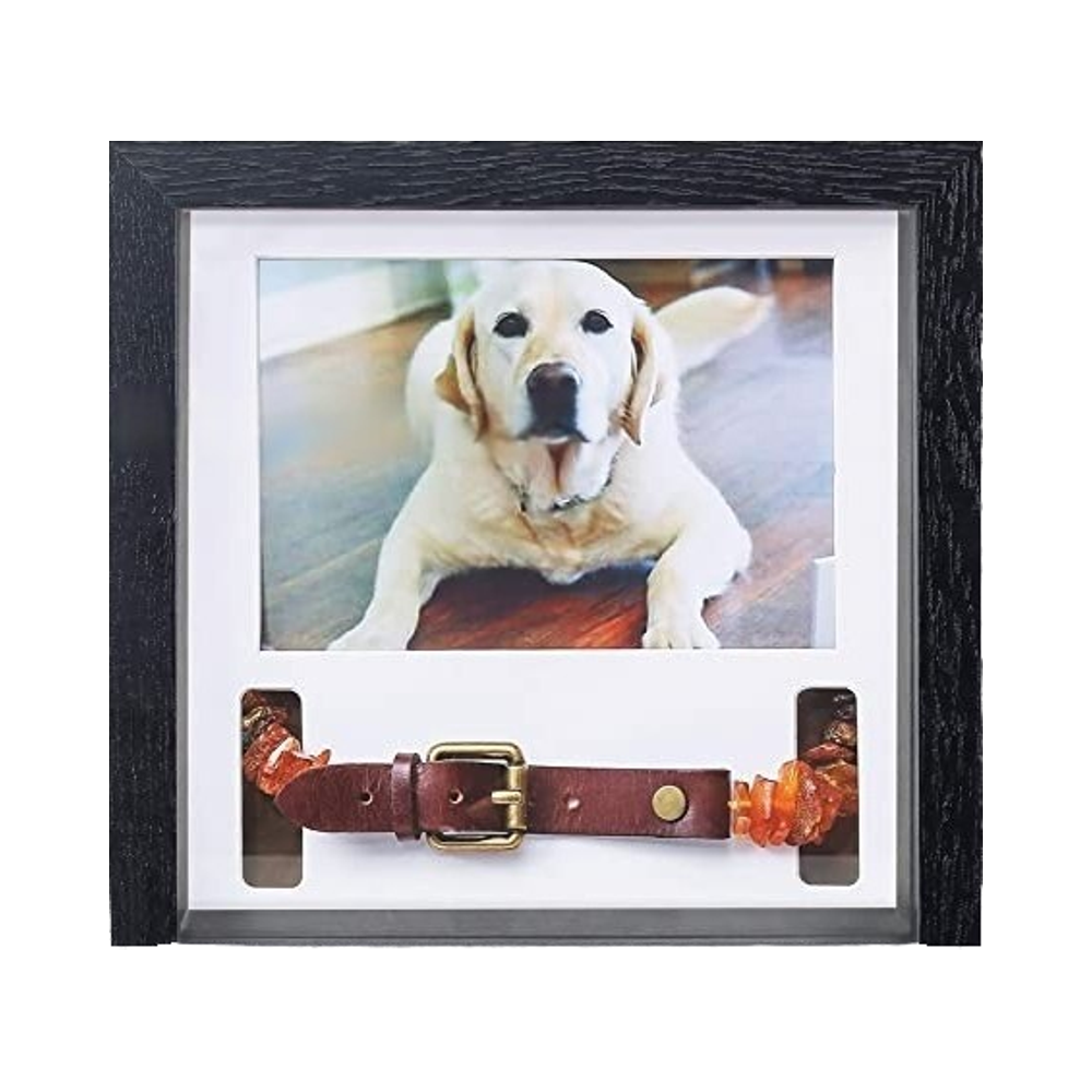 Pet Photo Frame Souvenir