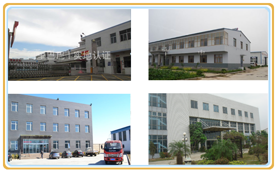 12MM LVL panels Manufacturer from ANHUI