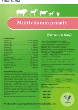 Multivitamin Premix Soluble Powder for Animals