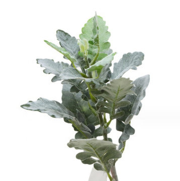 High Quality Artificial Dusty Miller Greenery for Sale