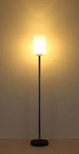 Modern Matte Black Wood Floor Lamp