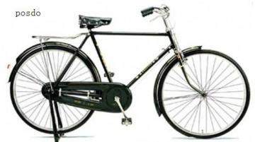 Bicycle / 28" Classic Bicycle