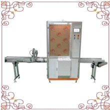 Full-Auto servo hot stamping machine