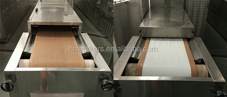 Soldier Fly Eggs Tenebrio Molitor Belt Microwave Drying Machine Equipment Dryer Hermetia Illucens Black New Product 2020 12-80KW