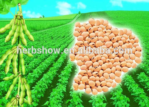 Manufacturer Supply Soybean Lecithin Soybean Extract(40%,50%,70%)