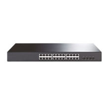 Web-smart 24 ports PoE switch