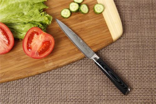 new design cutlery laguiole