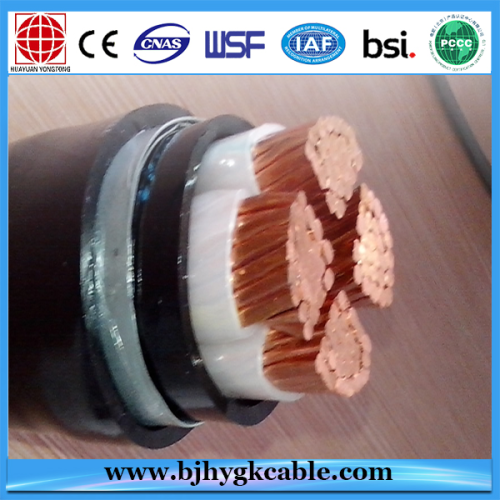 Cable de alimentación aislado XLPE CU / XLPE / PVC / WSTA / FR-PVC 0.6 / 1.1 kV