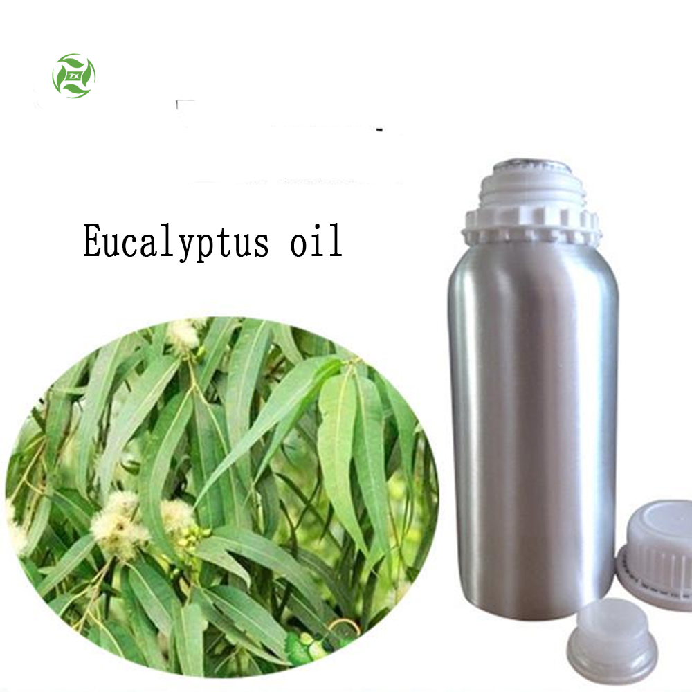 Fashion Eucalyptus Essential Oil ขายส่งเครื่องหอมปรับอากาศ