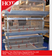Hot Sales for Pullet Automatic Cages Chicken