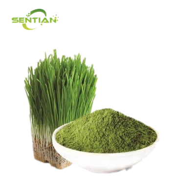 Supply Grass Fruit Extract Powder