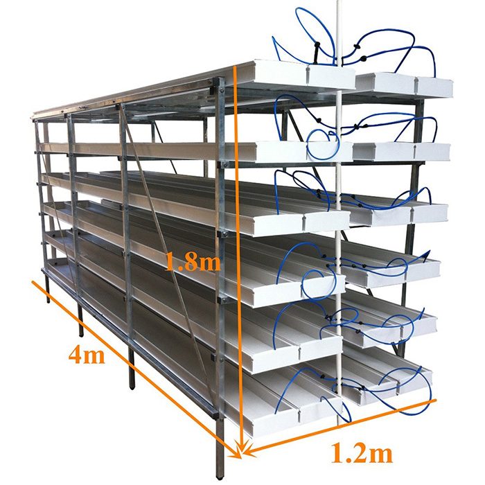 Large Scale Hydroponic Microgreen Rack