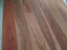 Spotted Gum Engineered Wood Floor