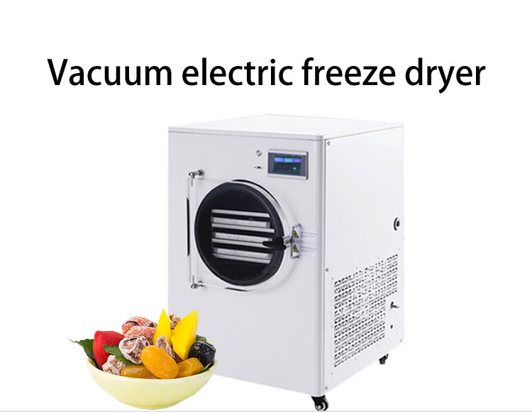Small Mini Laboratory Vacuum Freeze Drying Equipment - Fruit ...