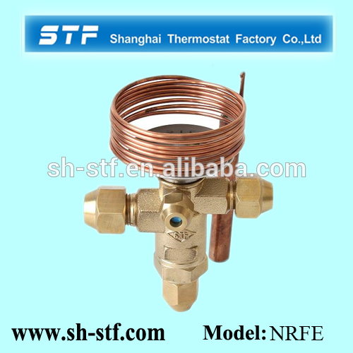 Brass Expansion Valve for Transportation A C