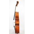 Cello Advanced Spruce Cina Profesional