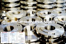 Stainless Steel JIS Slip On Plate Forging Flanges