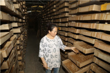 animal Feed-- Meat bone meal with high protein