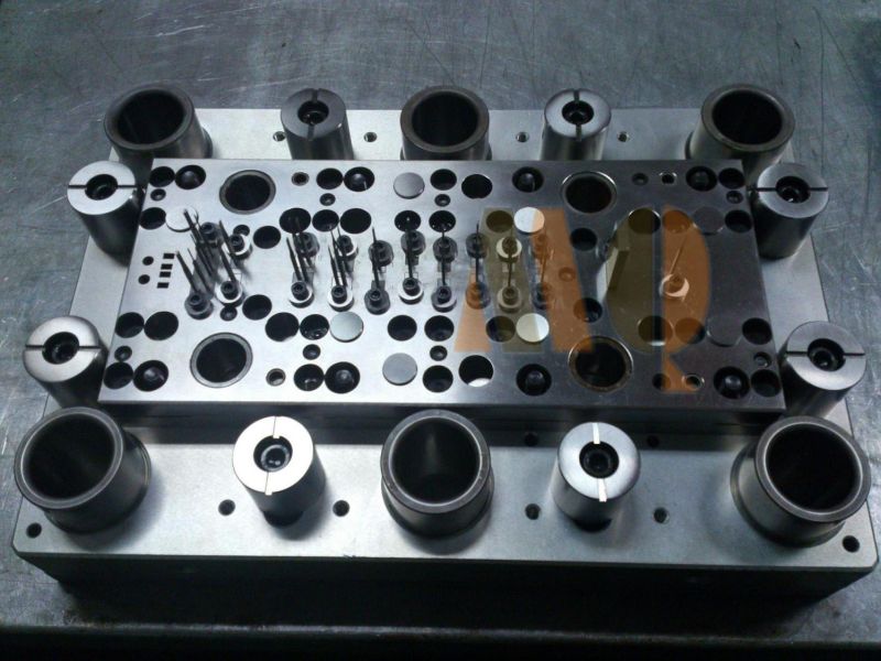 Plastic Injection Mold Stamping Die (MQMD001)
