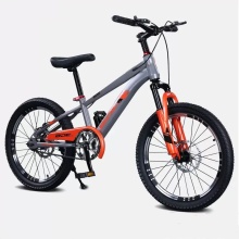 2025 New High Carbon Steel Mountain Bike