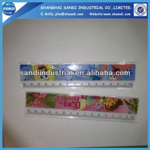 plastic scale ruler