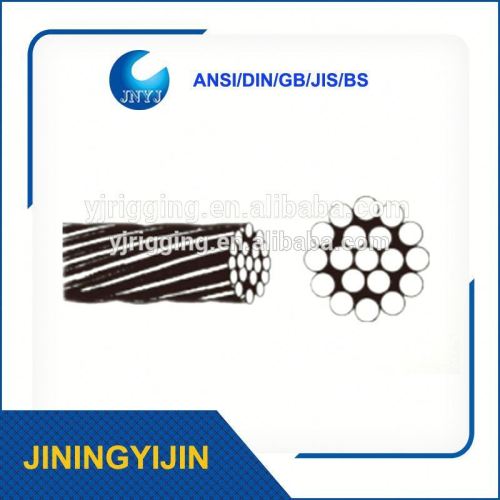 1*19 Galvanized Steel Wire Rope/Galvanized Wire