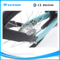 Berbagi sepeda listrik roda sepeda listrik 250w 24 inci