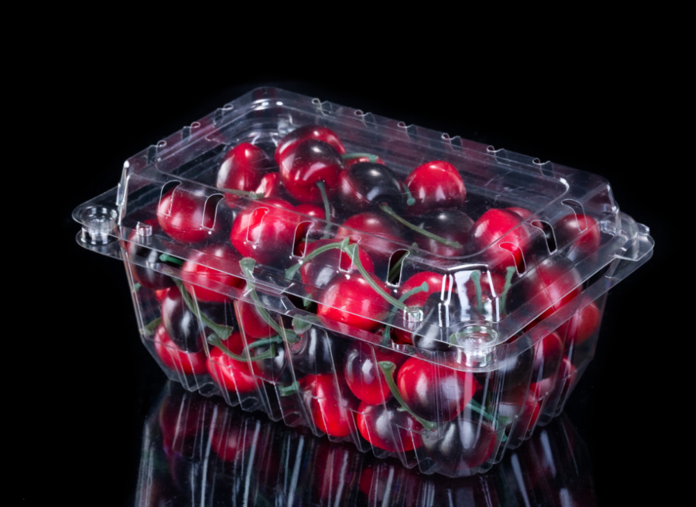 Disposable Clear Plastic Fruit Container