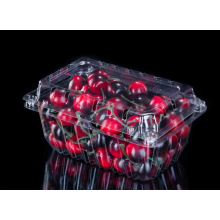 Emballage de fraise en plastique/PET d&#39;usine
