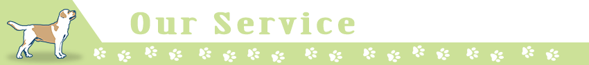 Notre service Our-Service