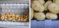 Linea di produzione di patatine fritte congelate automatiche