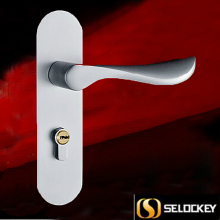 Mortise Handle Famous intellectual door lock solenoid Door Lock with Double Cylinder wood door lock toilet lock lock handle