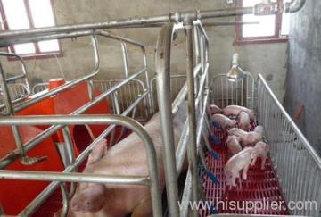 High Quality Farrowing Crate?