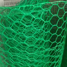 Högt stil högkvalitativ Hexagonal Wire Mesh/Chichen Mesh/Galvanized Netting